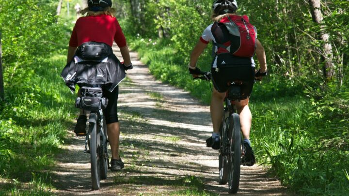 Biking in Forest