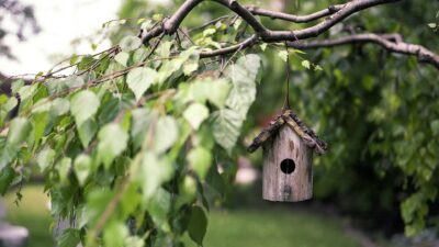 Green Spaces at Home