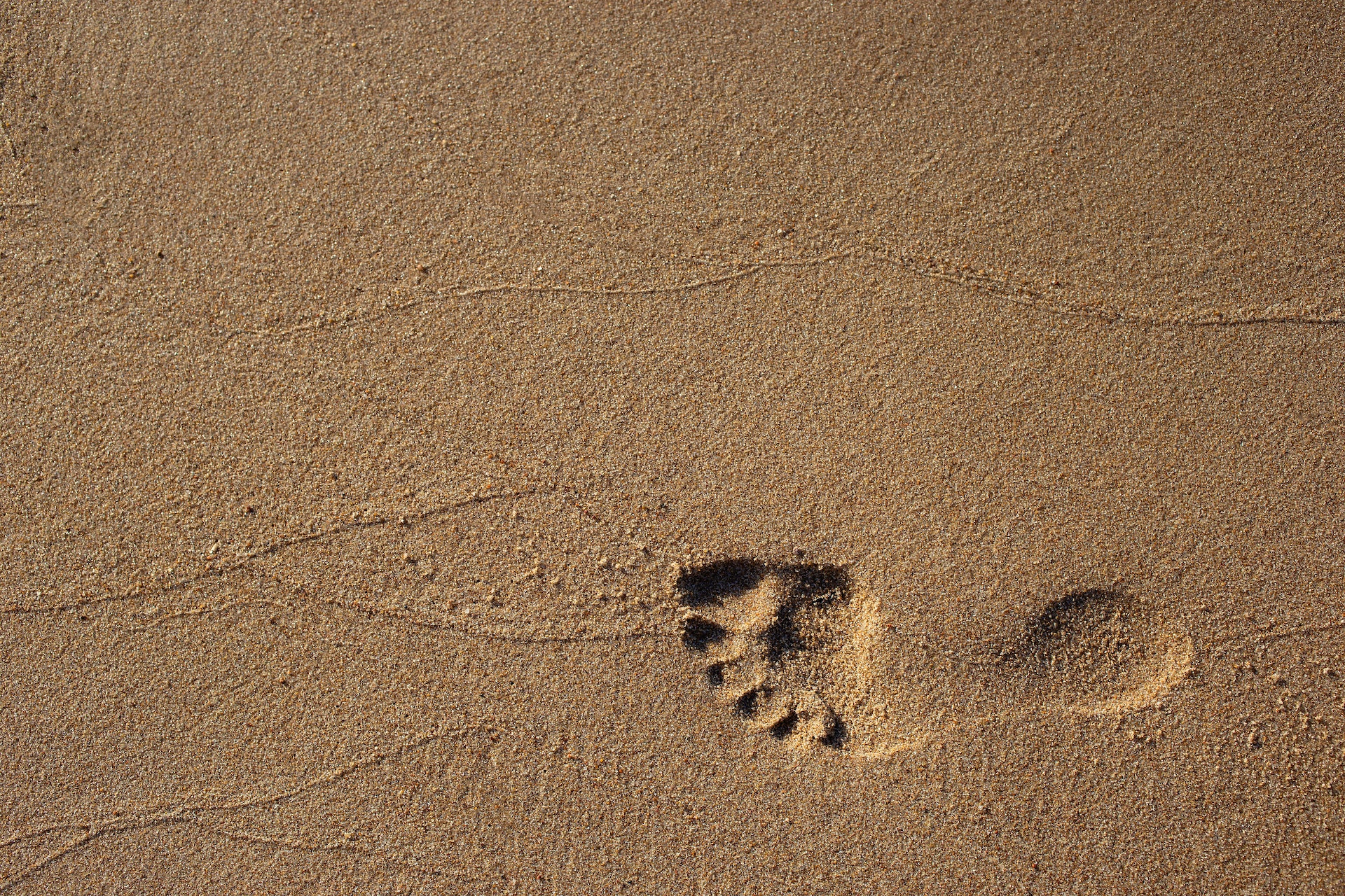 Footprint in Sand